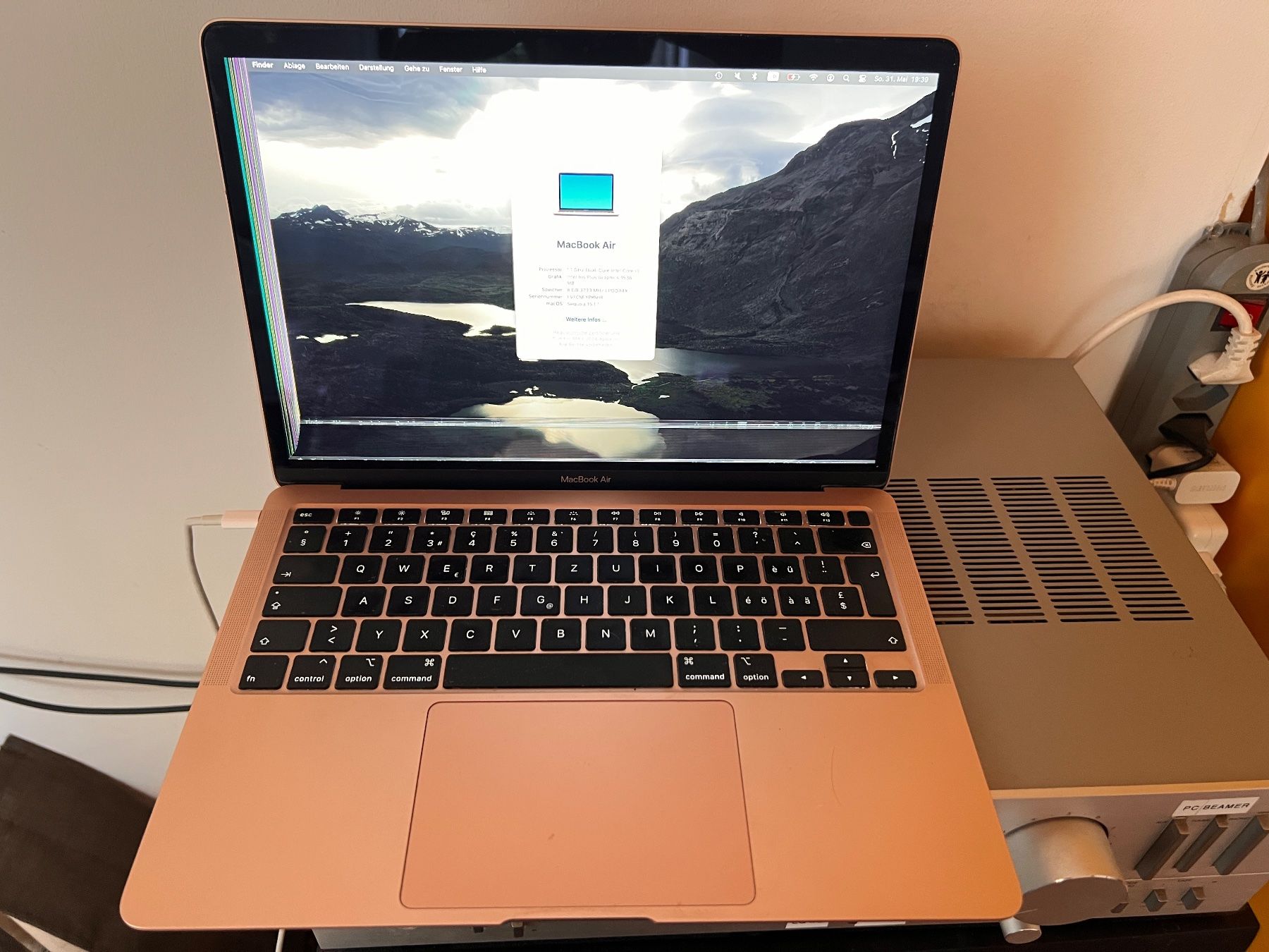 Apple Notebook: MacBook Air 13.3" Gold – Difettoso da Bottighofen venduto da dermueller 7