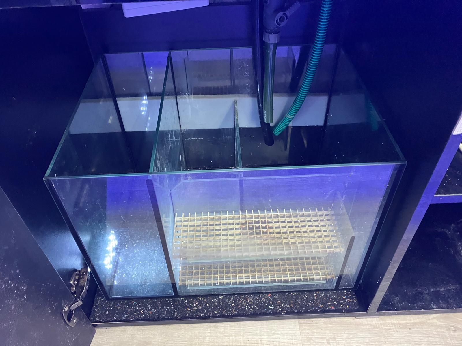 Eheim Acquari: Meerwasser Aquarium ca. 450 L. – Usato da schaffhausen venduto da kucukaga 1