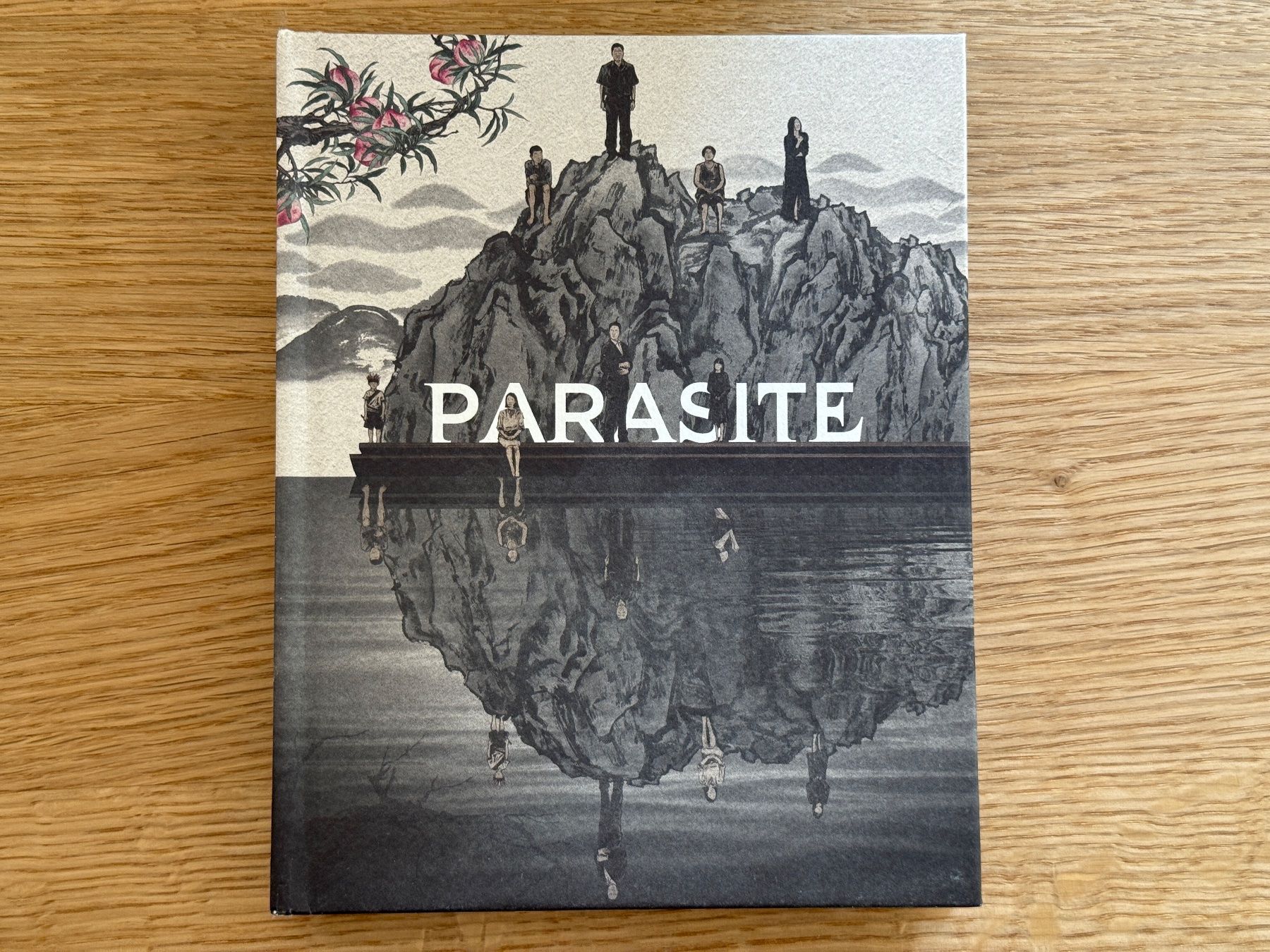 Tutti i DVDs: Parasite 4K Bluray – Usato da Wallisellen venduto da Art_Vendorlay