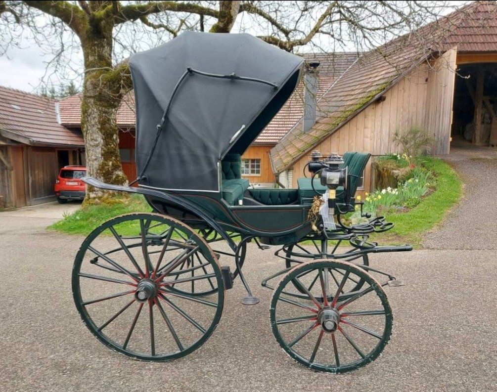 Carrozze: Antike Doktorchaise – Usato da Häusernmoos venduto da Darla17 1