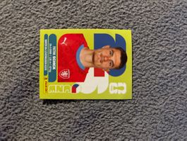 Panini Sticker CZE 20, Tschechien WM 2026