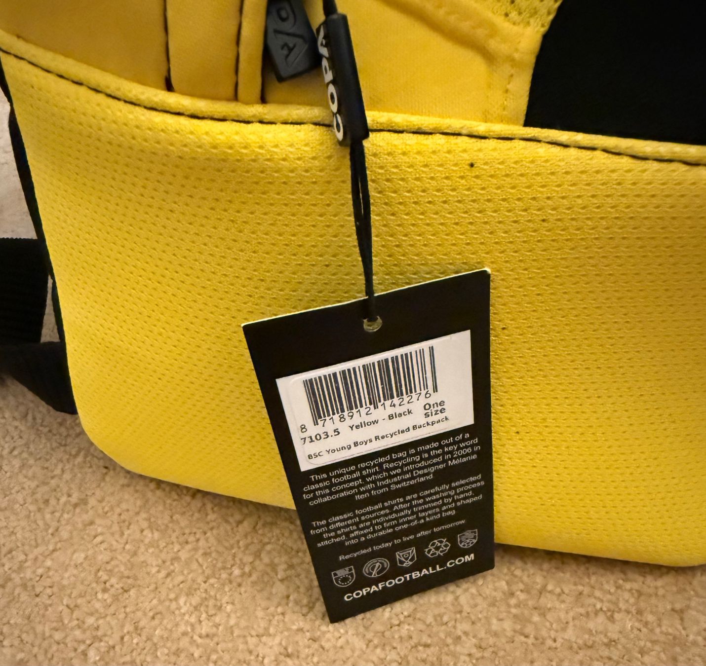 Rucksäcke: Fan-Rucksack YB – Neu (gemäss Beschreibung) aus Bad Ragaz von User_E43 3