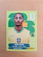 Panini Fifa World Cup 2026 Nr. BRA 16 Joao Pedro