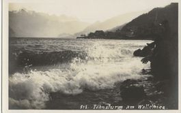 Walensee, Fotokarte