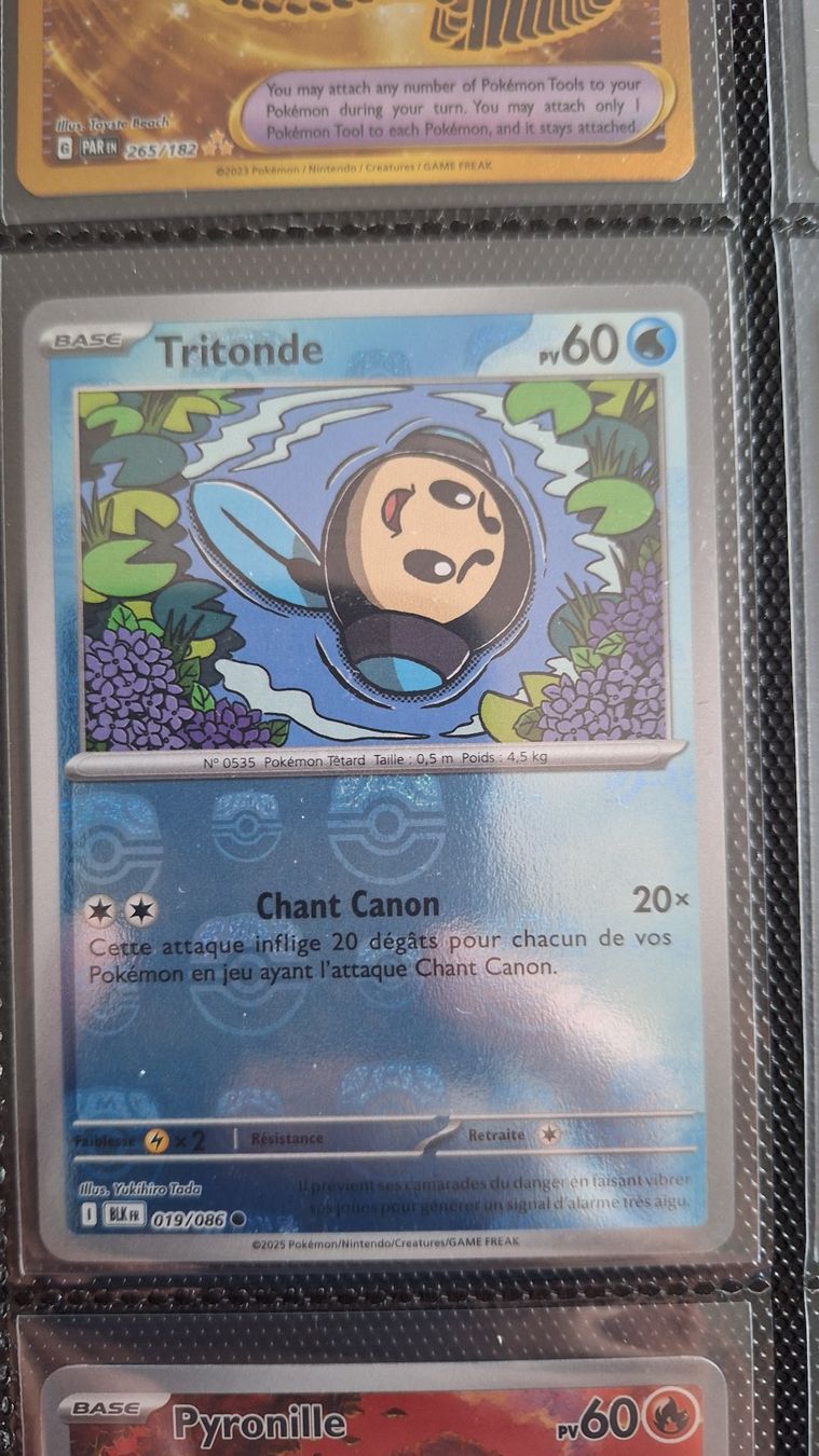 Pokémon Carte collezionabili: Tritonde - Masterball Reverse Holo Foudre Noire – Usato da Altstätten SG venduto da GGsGameshop