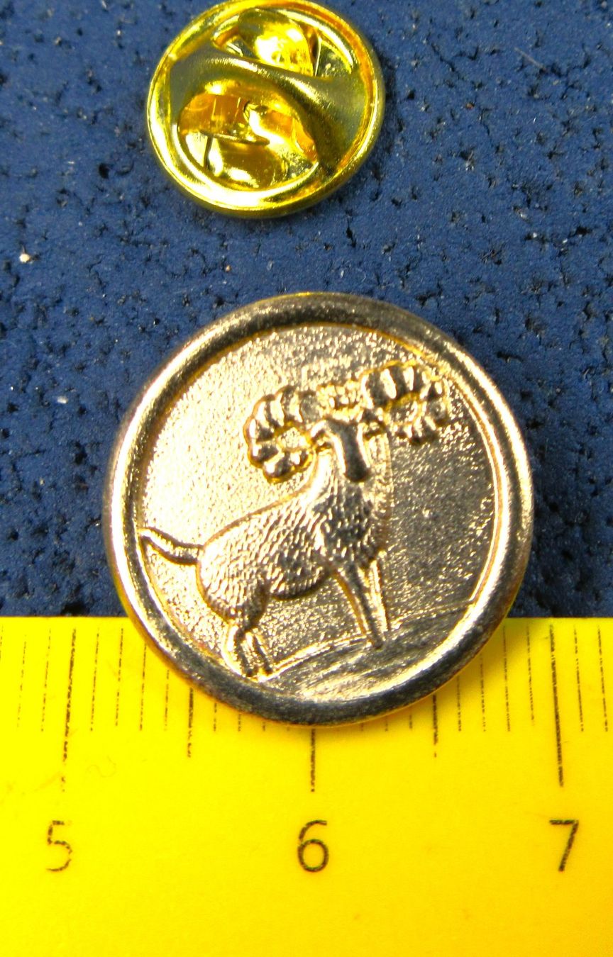 Swiss Placchette & Badge: WIDDER SCHMUCK PIN GEPRÄGT GOLDIG – Usato da Ettingen venduto da Hausi4711