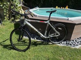 Fuji Velo zu verkaufen