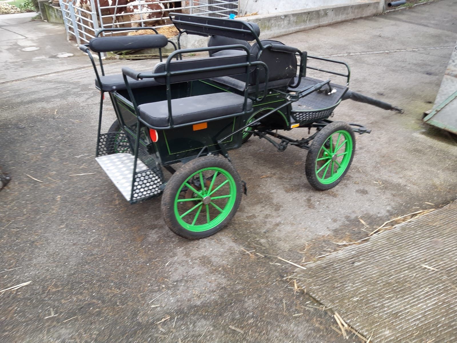 Carrozze: Pony Wagonette – Usato da Muttenz venduto da Meiglan 2