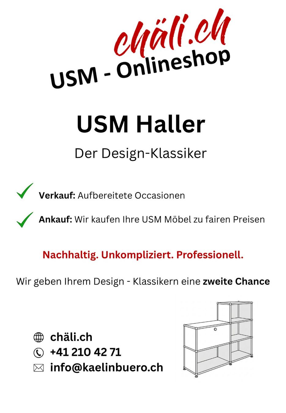 Scaffali: USM Haller Rohr 350 er Systemmass – Nuovo (secondo la descrizione) da Luzern venduto da lu1387 1