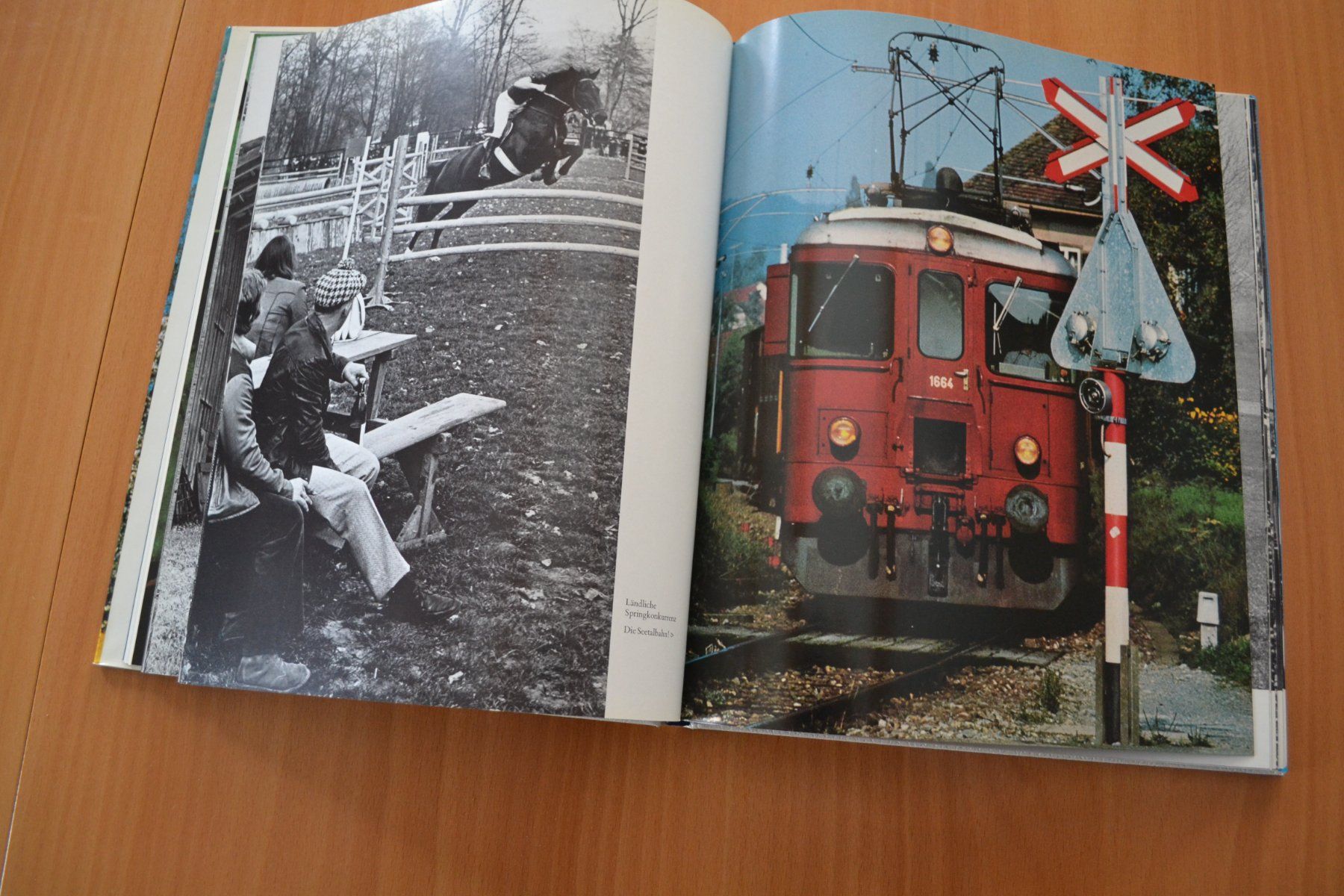 Libri: Seetal Hallwilersee mit 132 Seiten – Usato da Beinwil am See venduto da kajak55 3