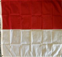 Fahne Flagge Kanton Solothurn Olten A1 Grenchen Zuchwil