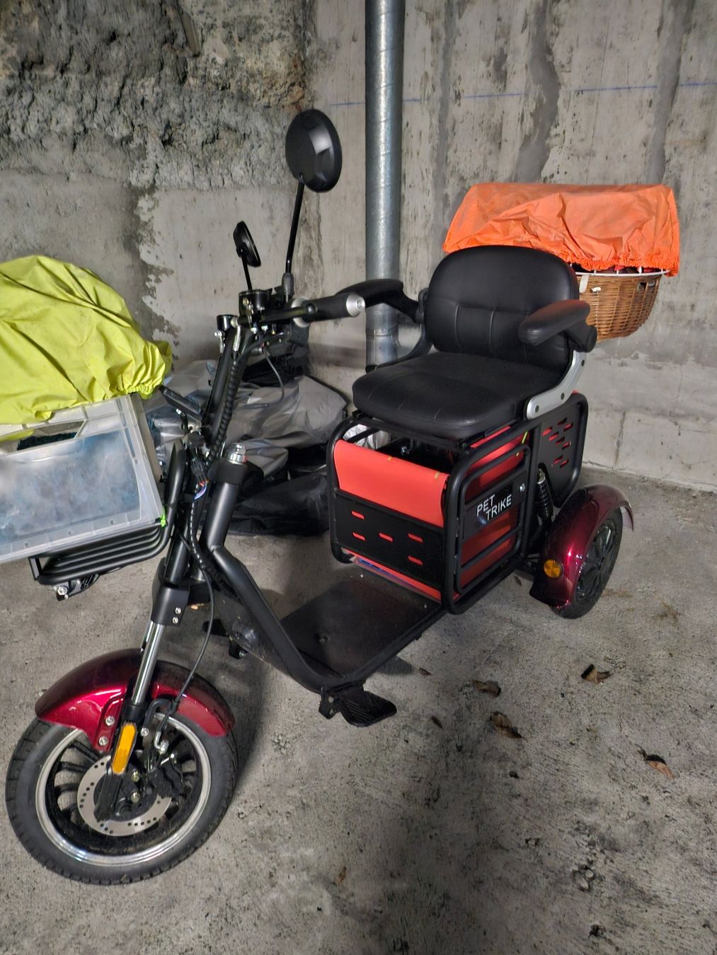Veicoli elettrici: PET TRIKE ComfortMobility E-Roller von esmoto – Usato da Basel venduto da lovedragon 2