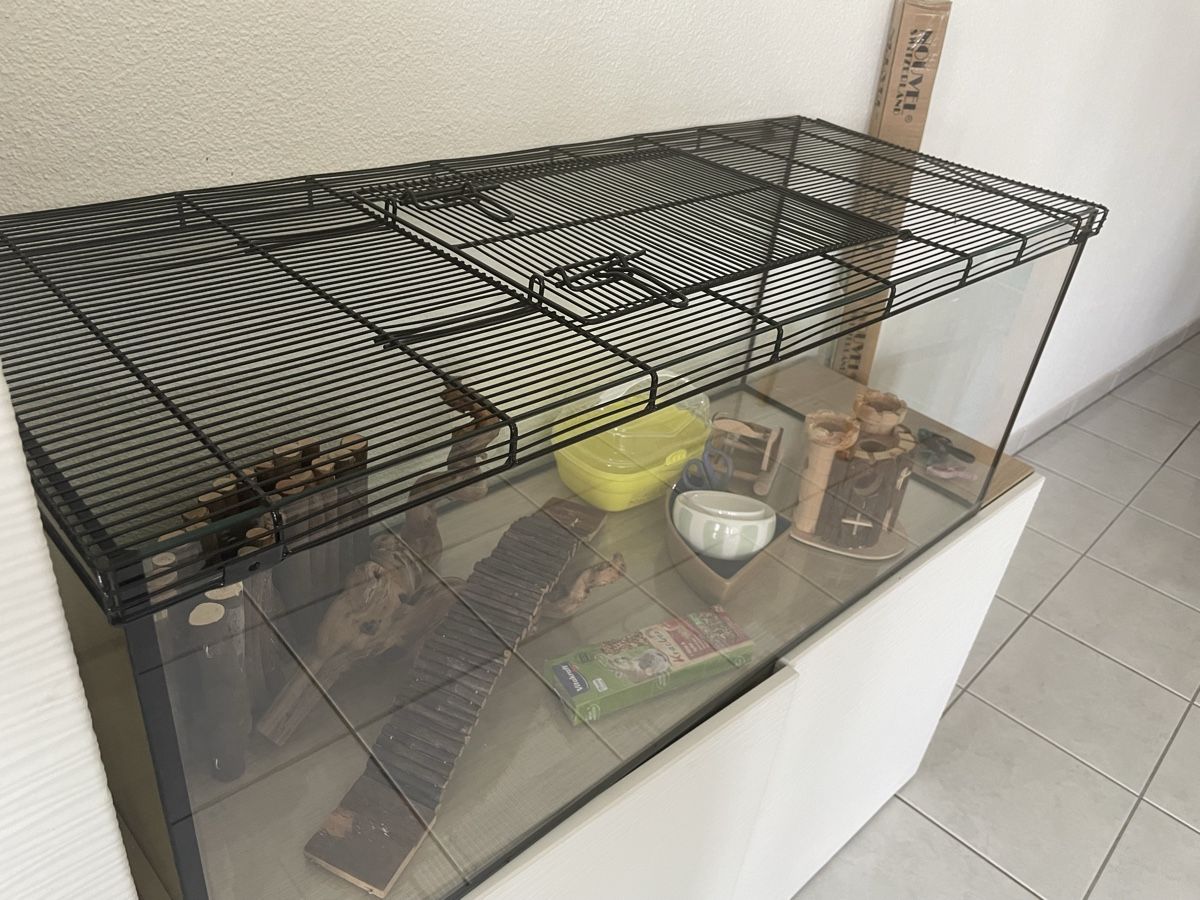 Gabbie, trasporto & Sicurezza: Hamsterkäfig mit Zubehör  – Usato da Fehraltorf venduto da clazu84 3