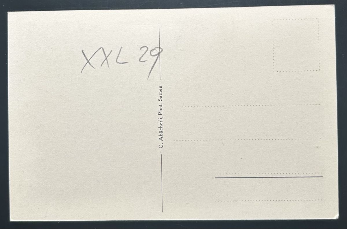 Cartoline postali: Sachseln Flugaufnahme  – Usato da Horw venduto da Tellbub 1