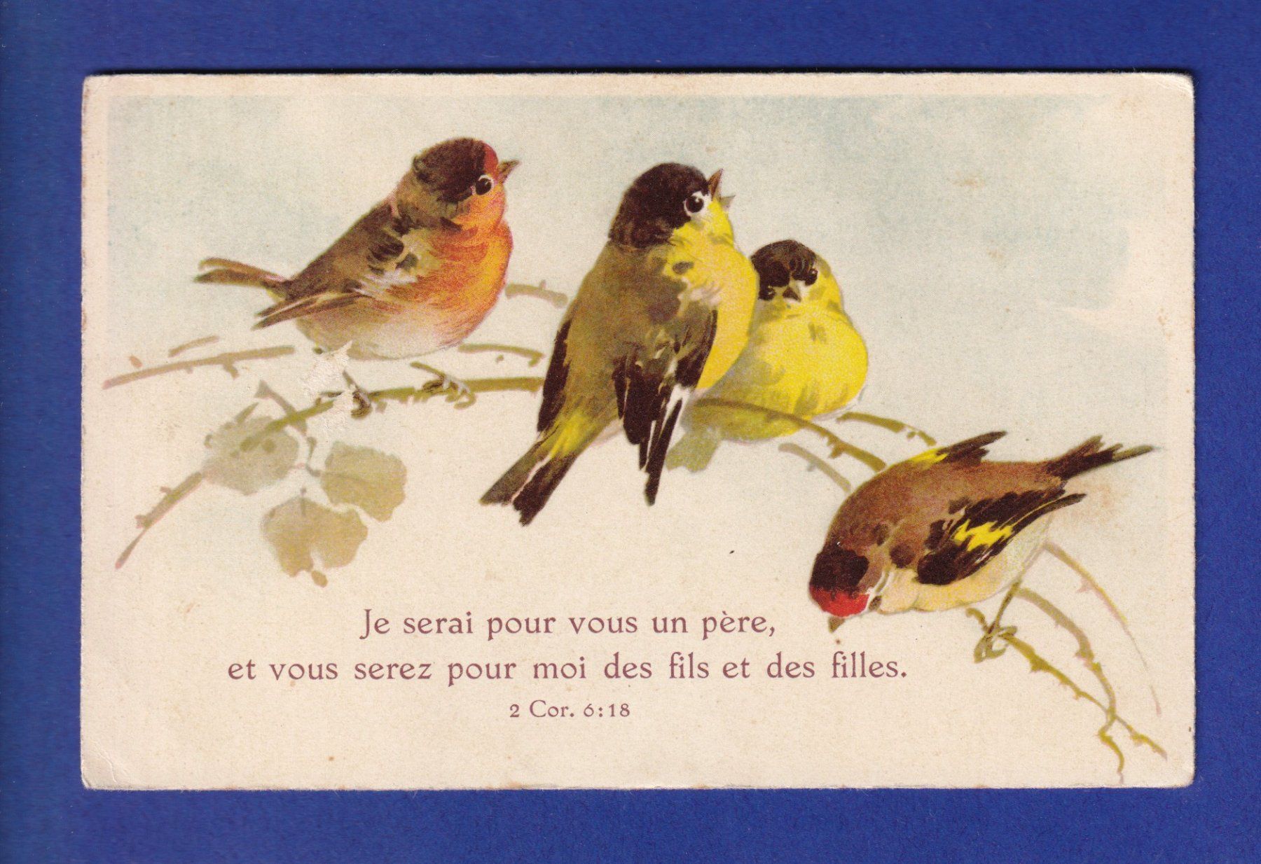 Cartoline postali: OISEAU - Mésange et Rouge-Gorge - Verset – Usato da Pully venduto da nicecards-shop