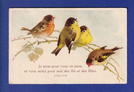 OISEAU - Mésange et Rouge-Gorge - Verset