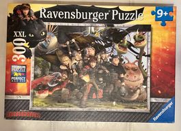 Puzzle: Drachenzähmen