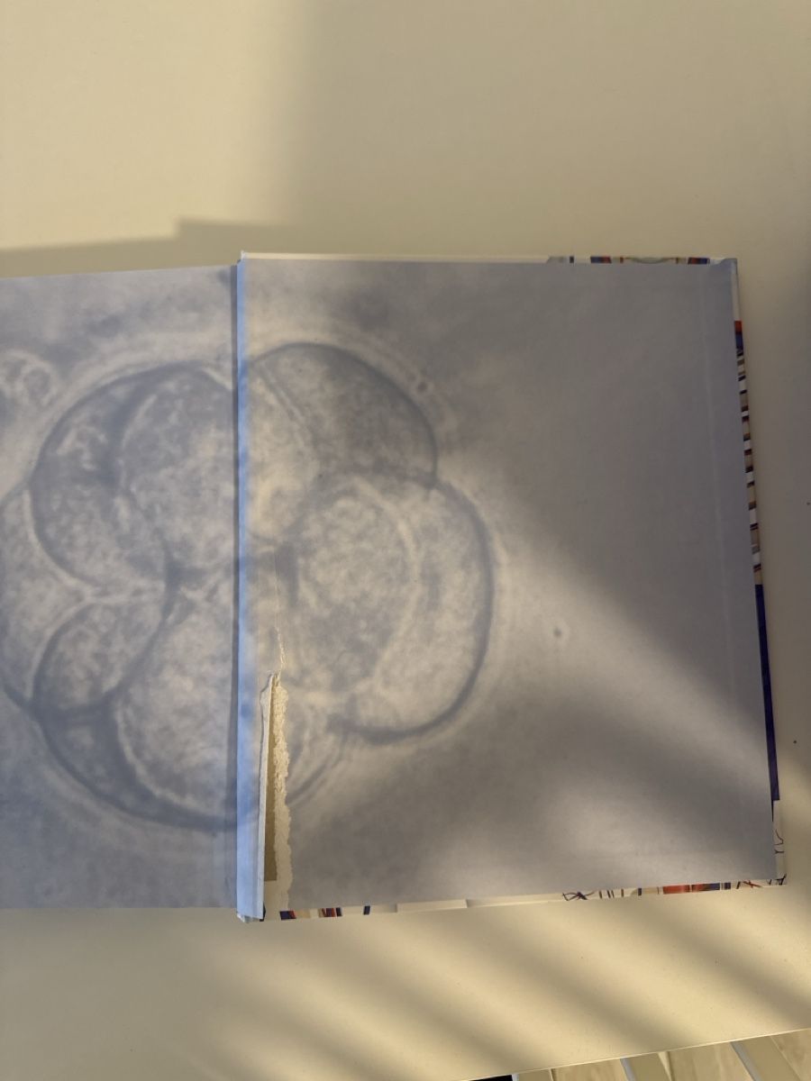 Libri: Anatomie Atlas "Der menschliche Körper" – Usato da Bülach venduto da sunshiine_ 3