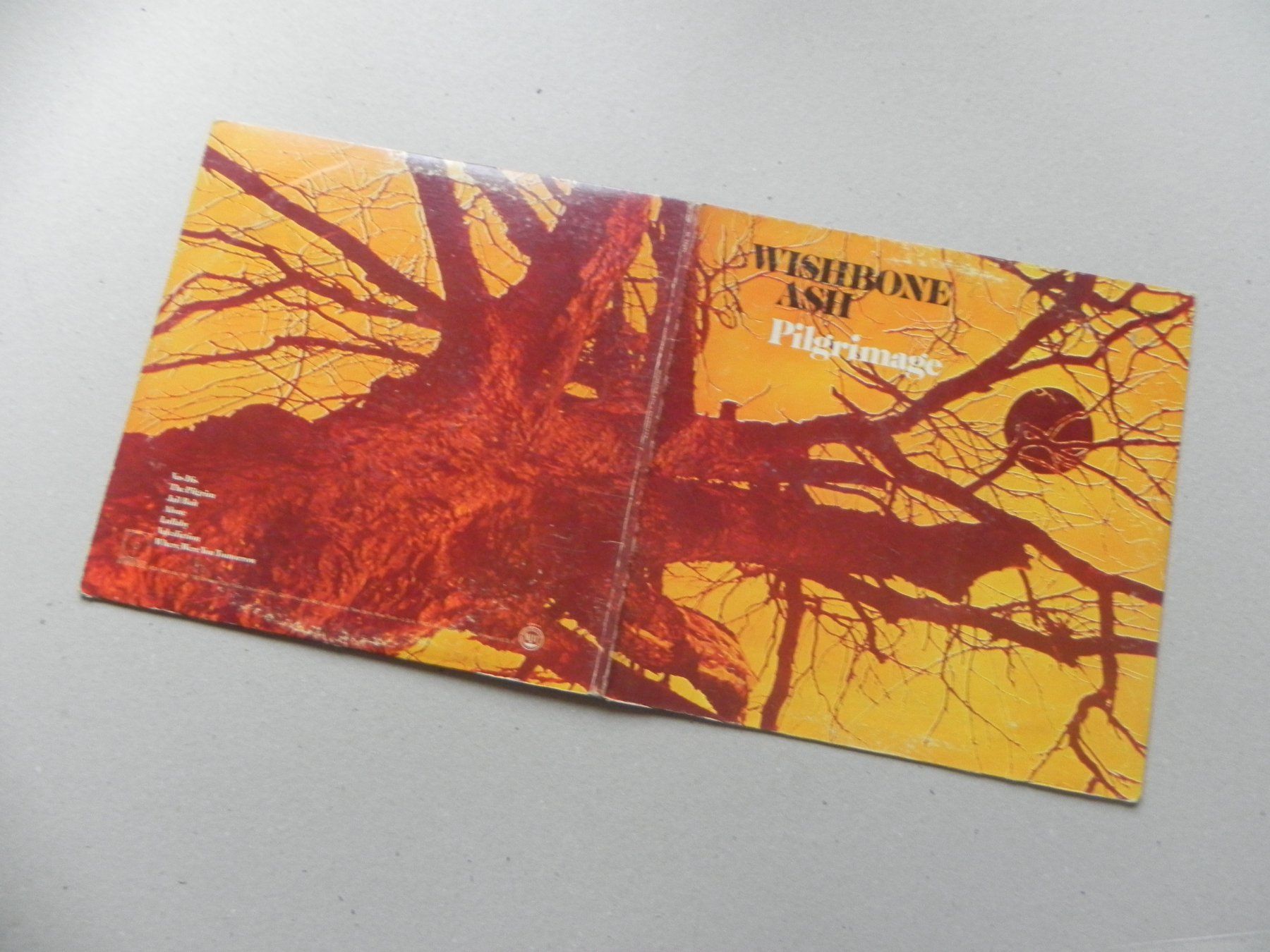 Schallplatten: LP brit. Rock Band Wishbone Ash 1971 Pilgrimage – Gebraucht aus Siebnen von krimsie 2