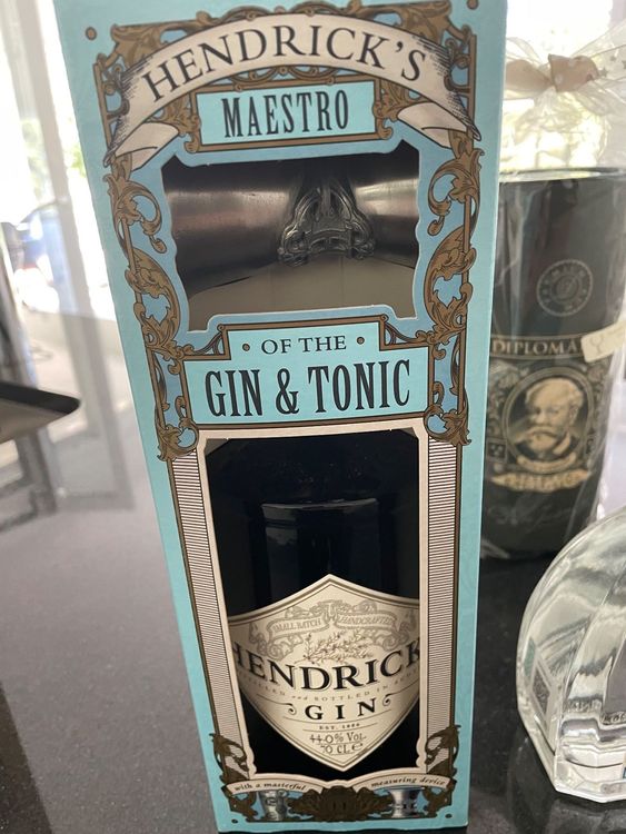 RICARDO GIN S BIELSA visual data 6