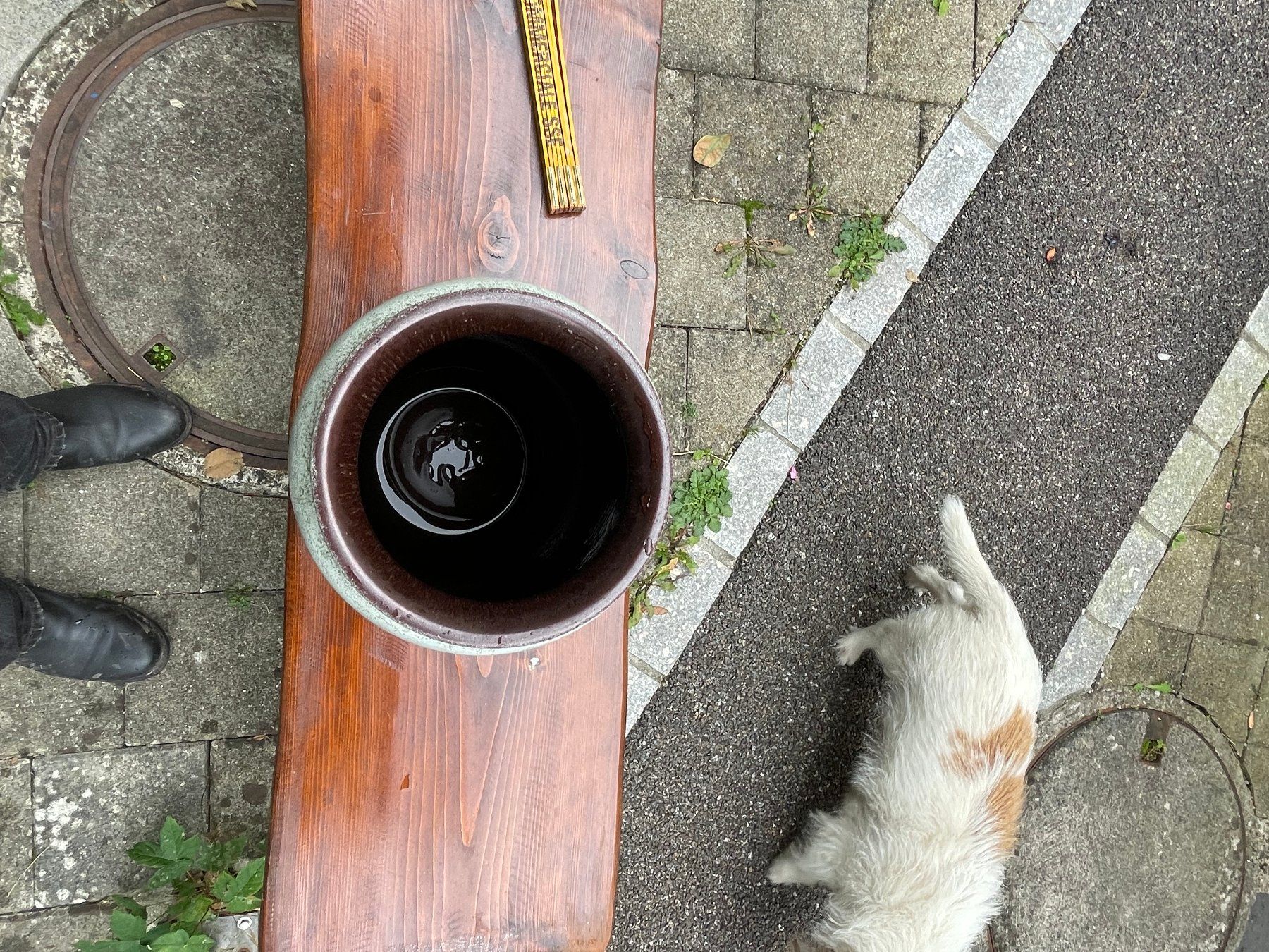 Vasi & Recipienti: Bodenvase – Usato da Forch venduto da ESELSTEIN 1
