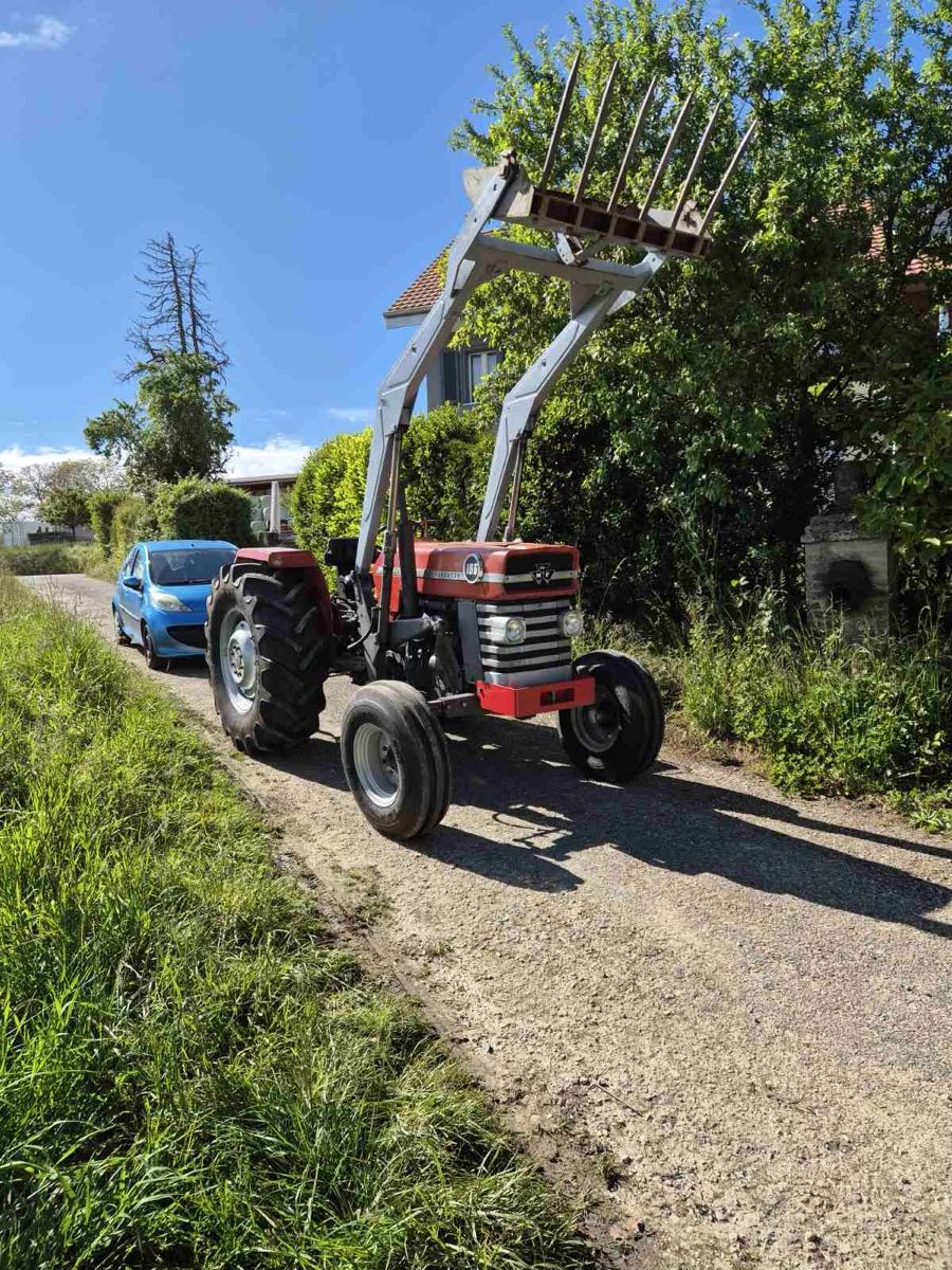 Massey Ferguson Traktoren: Tracteur MF 165 avec Frontal  – Gebraucht aus St-Aubin FR von paj_5vn2