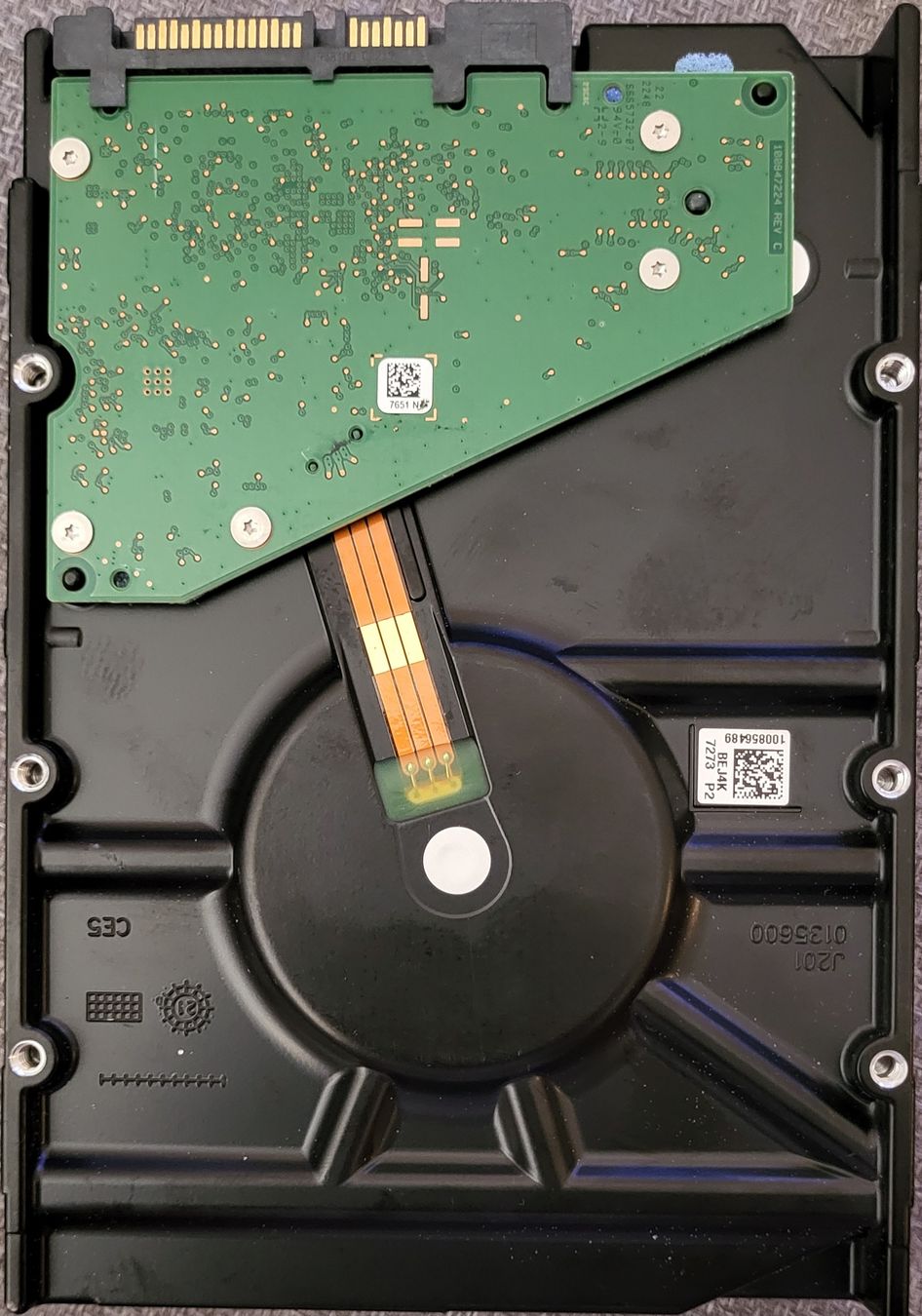 Seagate Dischi rigidi: 1×Seagate IronWolf Pro 8TB Festplatte SATA AF – Difettoso da Zürich venduto da Gulbi1919 1