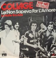 Vinyl-Single Collage - Lei Non Sapeva Far L'Amore