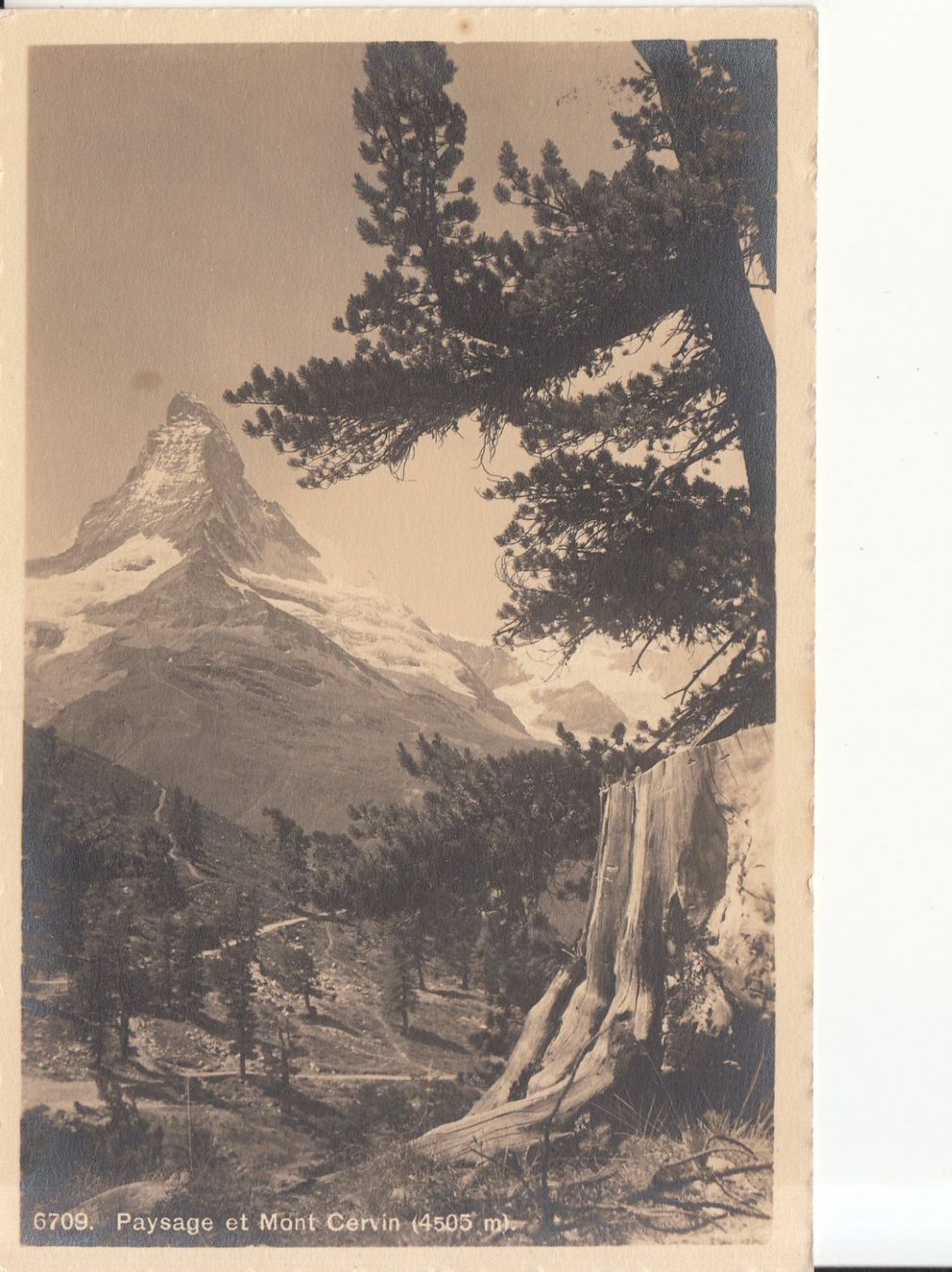 Ansichtskarten: Mont Cervin 1913 – Gebraucht aus Bürglen TG von StampGraf