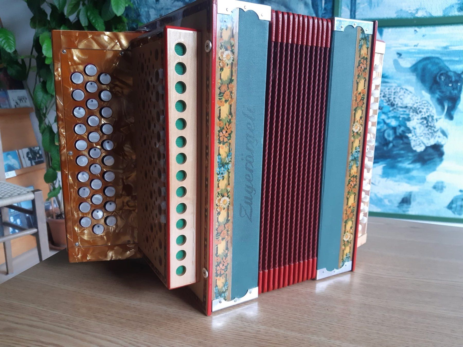 Strumenti musicali: Zugerörgeli chromatique C Griff – Nuovo (secondo la descrizione) da Bernex venduto da cla_v6c2