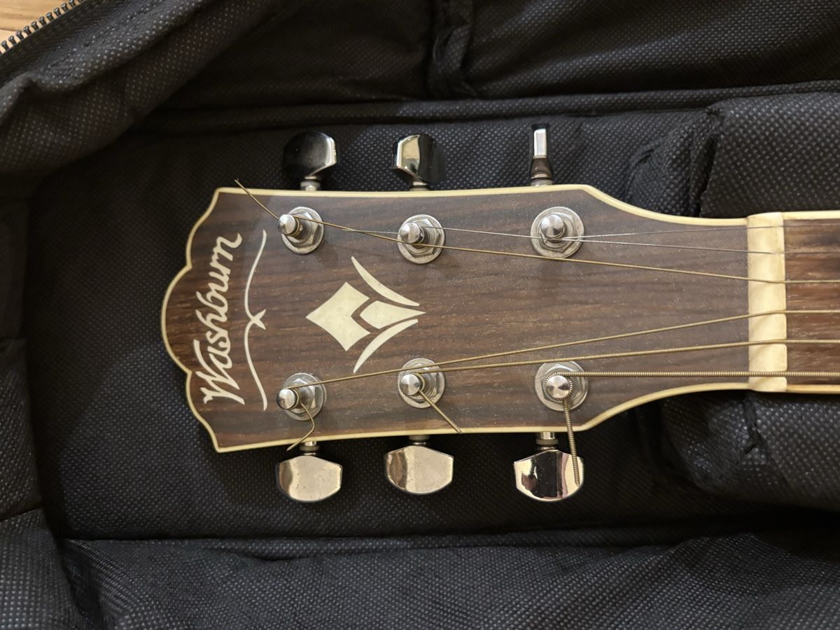 Washburn Strumenti musicali: Chitarra Washburn – Usato da Paradiso venduto da ago_yj79 3