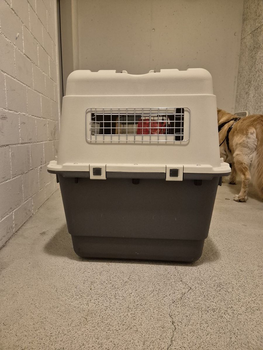 Liege- & Schlafplätze: Hundebox Transportbox Top Zustand! – Neu (gemäss Beschreibung) aus Reichenburg von Benutzer123_ 2