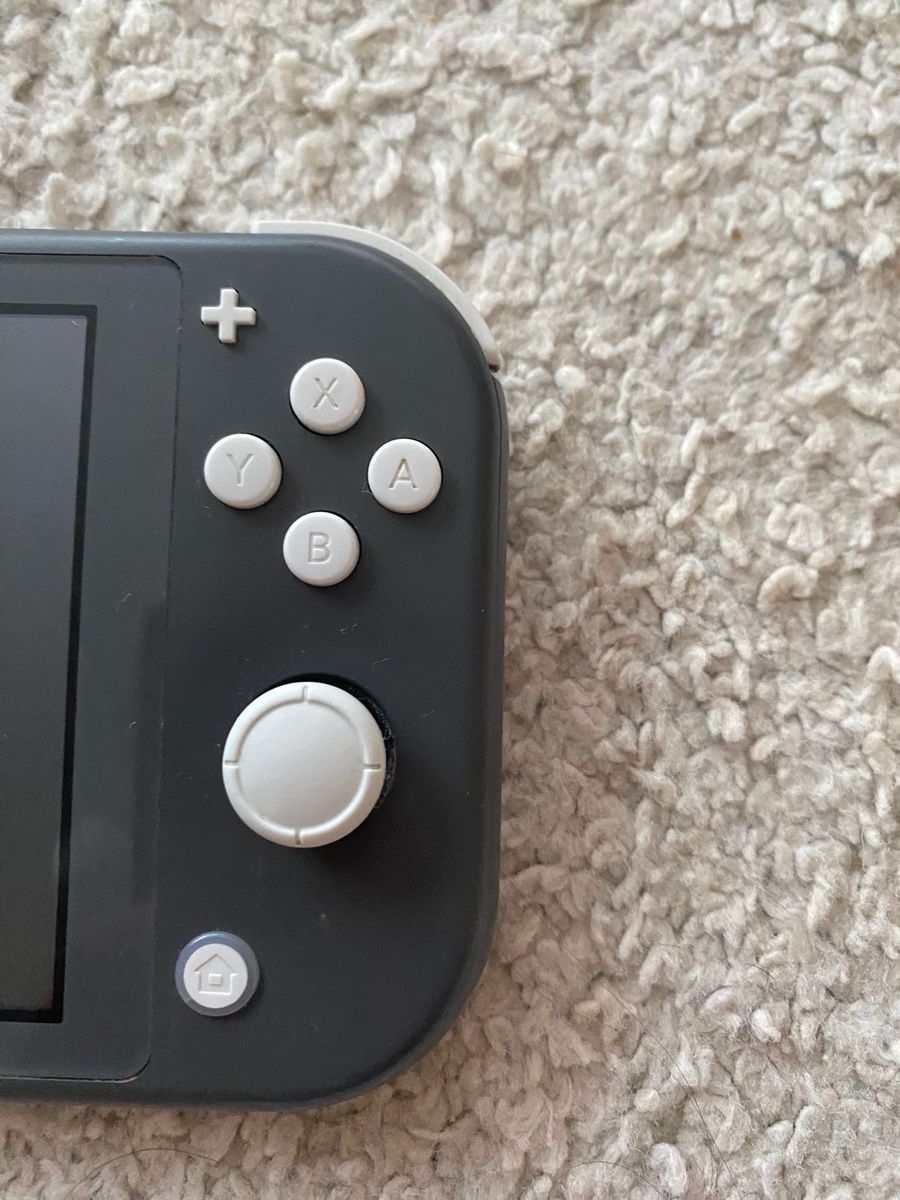 Nintendo Console: Nintendo Switch Lite – Usato da Jona venduto da Glow24 2