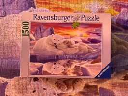 Puzzle Eisbären