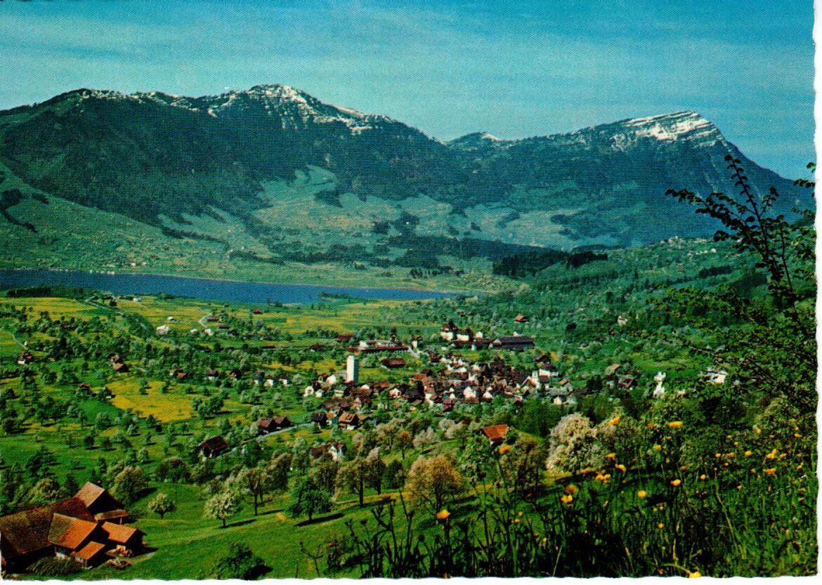 Ansichtskarten: Steinen mit Rigi – Gebraucht aus Wolhusen von Curver9