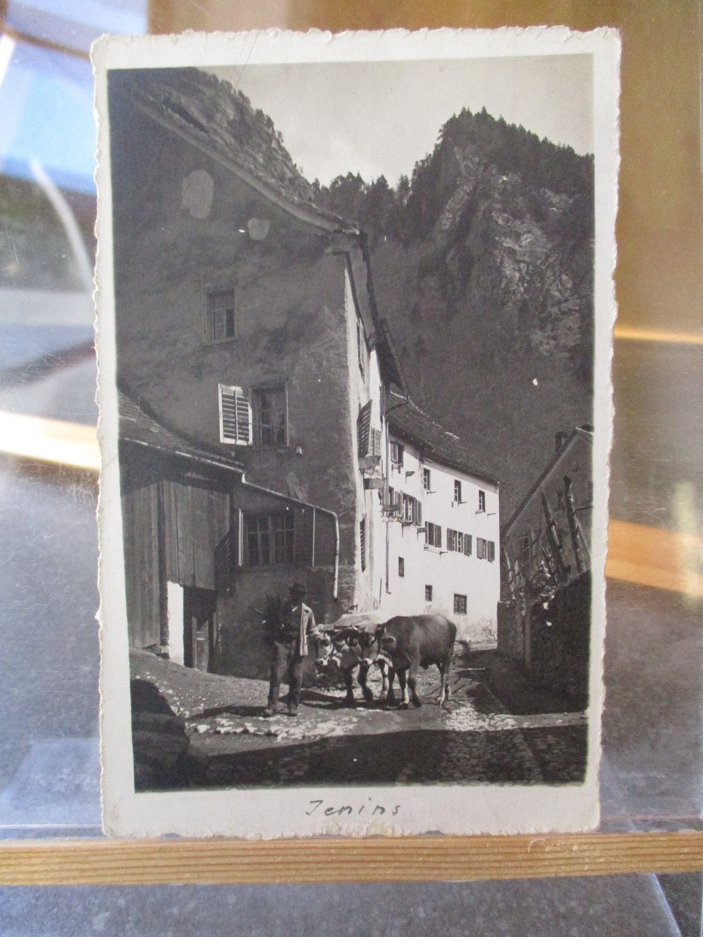 Cartoline postali: Jenins 1923 Postkarte   1 – Usato da Felsberg venduto da sanwill