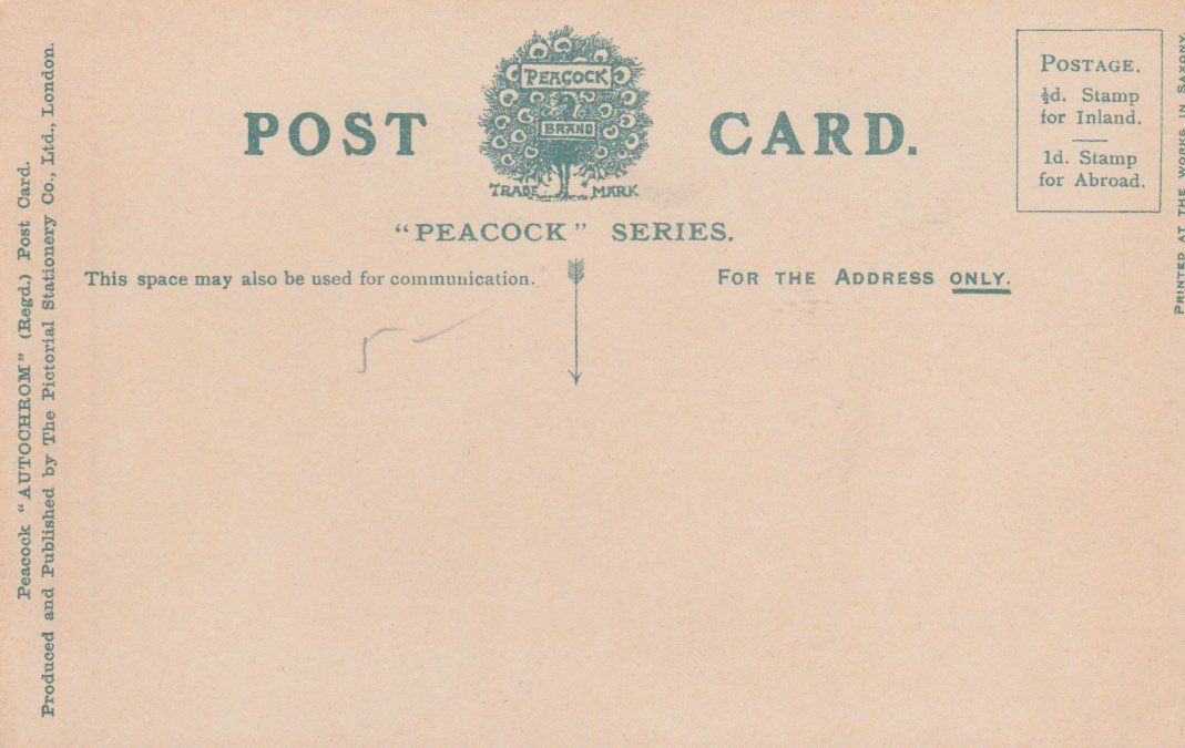 Cartoline postali: old UK Postcard KENILWORTH CASTLE AND RUSTIC BRIDGE peacock – Usato da Vezia venduto da Aquarius_Age 1