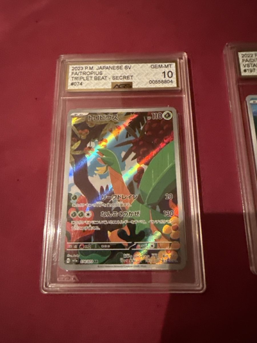 Pokémon Carte collezionabili: 2023 /2022 3 Karten geradet GEM-MT 10 – Nuovo e nell'imballaggio originale da St. Margrethen SG venduto da meg_6b9w 2