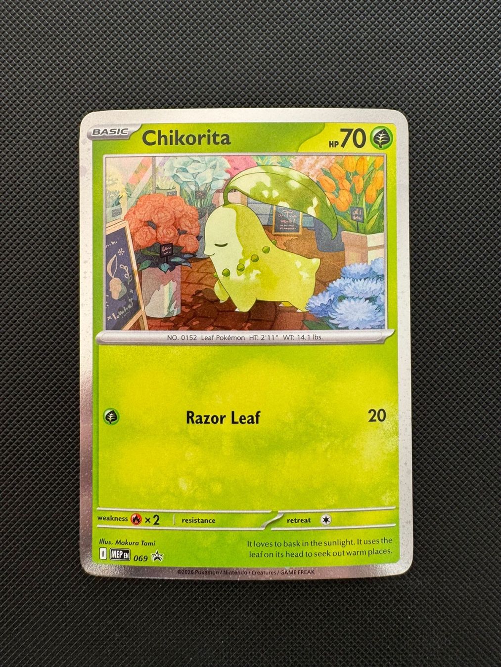 Pokémon Carte collezionabili: Pokémon Chikorita Promo #069 – Usato da Seuzach venduto da provenzano18