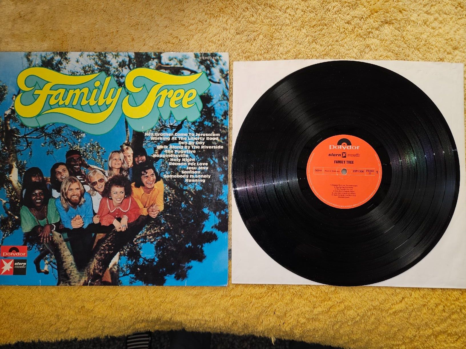 Dischi in vinile: Family Tree Schallplatte Lp – Nuovo (secondo la descrizione) da Lyss venduto da Alexine