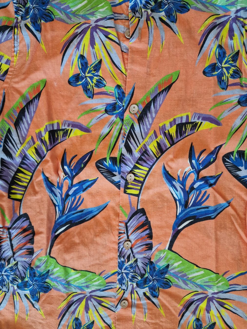 Next Camicie, T-shirt & Polo: Hawaii-Hemd Gr. 128 – Usato da Zürich venduto da Pemberleys 1