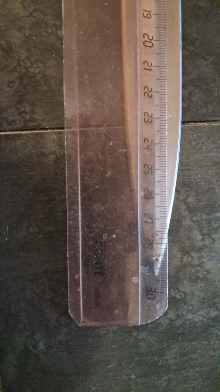Schweizer Armee Armi bianche: Baillonnette ancienne – Usato da PRILLY venduto da 55b_nh8l 4