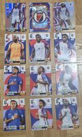 Cartes Panini Team Haïti (COMPLET) - ADRENALYNE XL (214-225)