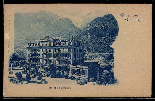 Cartoline postali: AK Meiringen, Hotel du Sauvage – Usato da Berlin venduto da bartko-reher