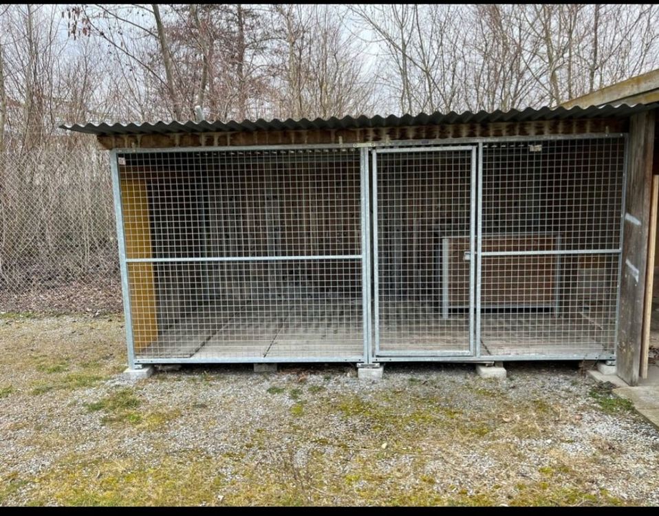 Hundezwinger Kaufen auf Ricardo