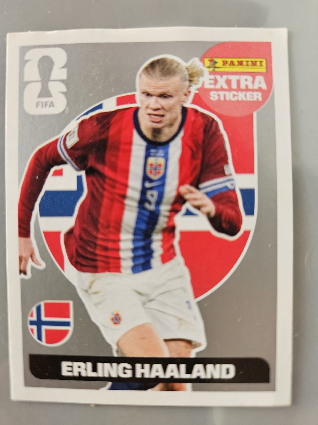 Panini Carte collezionabili: Panini extra Sticker, Erling Haland – Nuovo (secondo la descrizione) da Zürich venduto da Ran66
