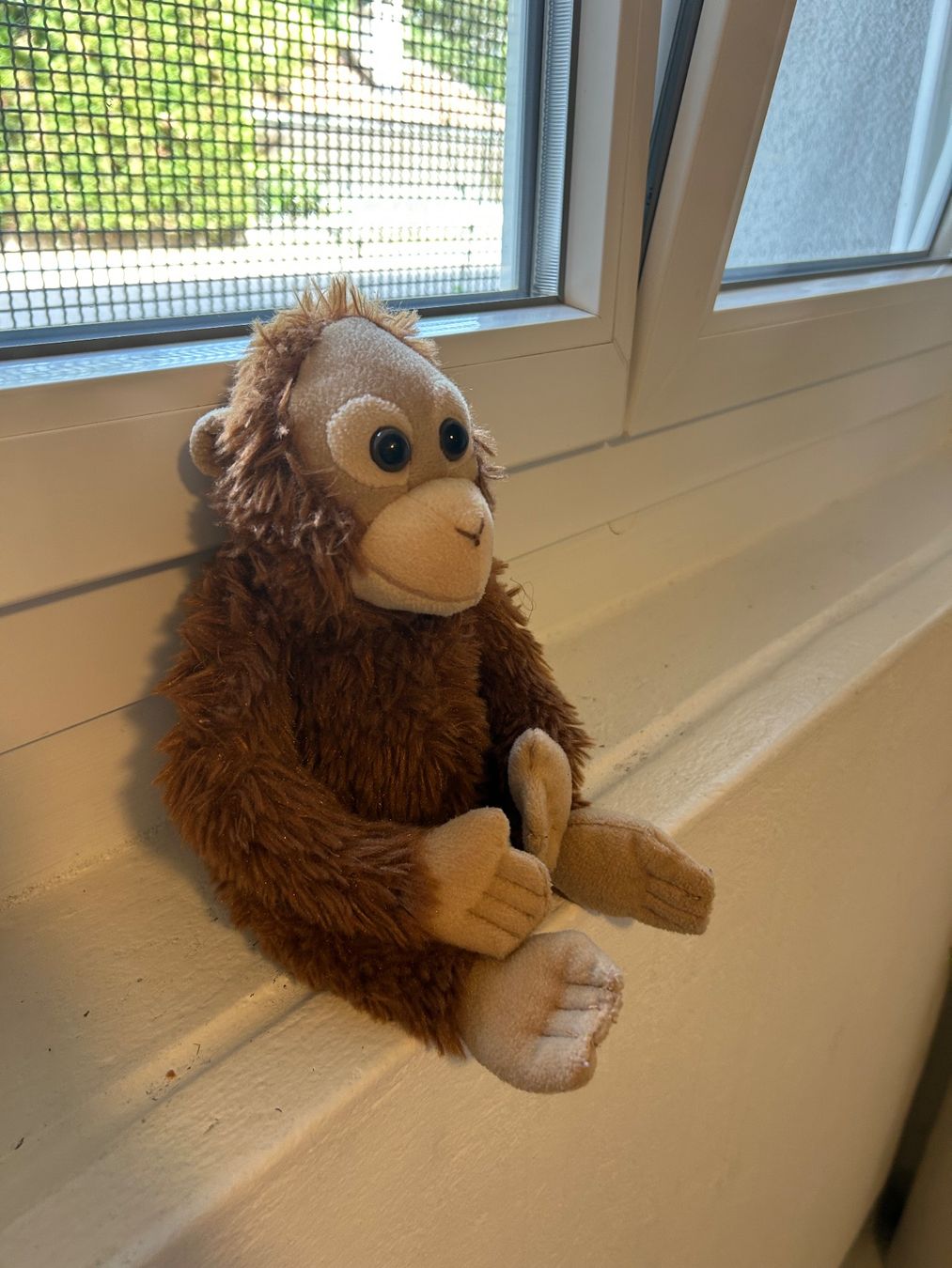WWF Spielzeuge: Orang Utan Kuscheltier – Neu und originalverpackt aus Wabern von belka72 1
