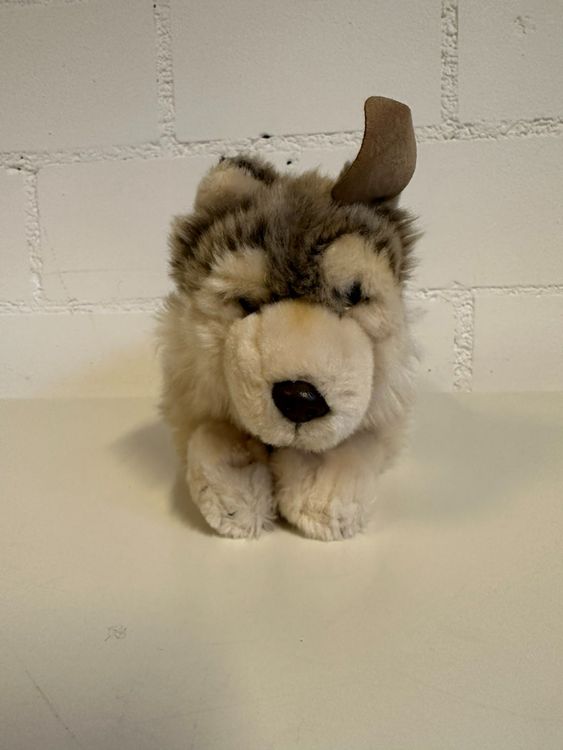 Plüschtier Wolf WWF (36cm) | Kaufen auf Ricardo
