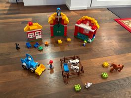 LEGO DUPLO Bauernhof mit Tieren, sehr guter Zustand