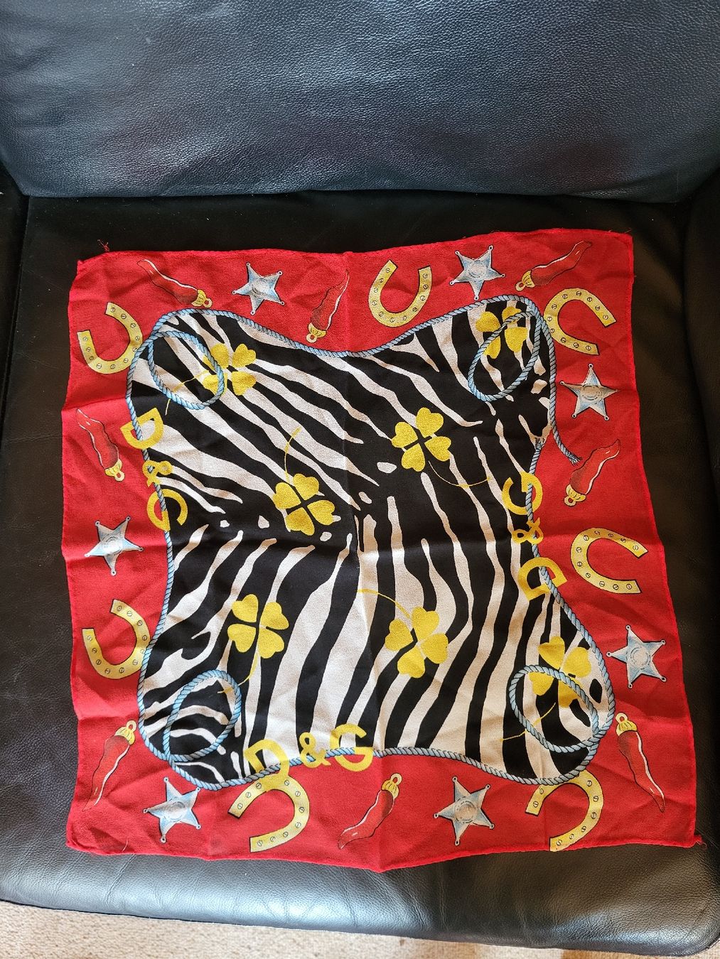 Dolce & Gabbana Foulards & écharpes: D&G Schal – D'occasion à Zweisimmen par Adorable